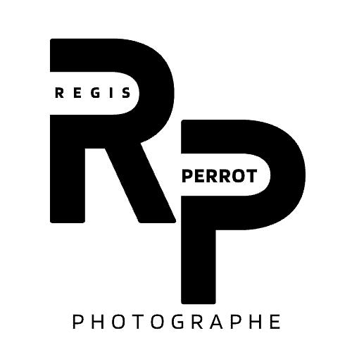 Régis Perrot
